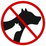 No se admiten mascotas en Pensión San Marcos